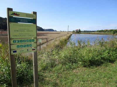 Naturreservatet Strunjan-Stjuža/Strugnano-Chiusa.