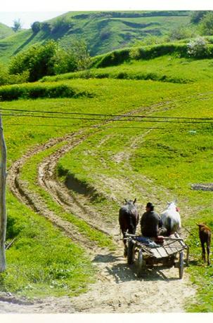 I närheten av Vişeu de Sus. (Foto: Ulf Irheden)
