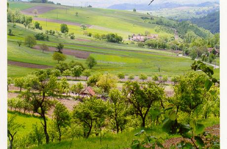 På väg ner från Gernik kunde vi njuta av denna utsikt. (Foto: Ulf Irheden)